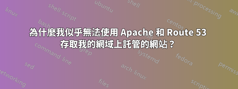 為什麼我似乎無法使用 Apache 和 Route 53 存取我的網域上託管的網站？