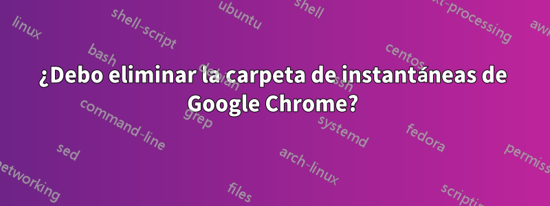 ¿Debo eliminar la carpeta de instantáneas de Google Chrome?