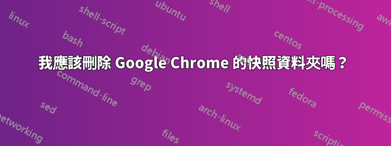 我應該刪除 Google Chrome 的快照資料夾嗎？