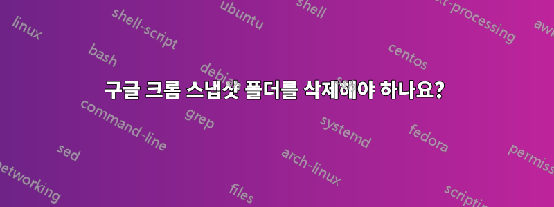 구글 크롬 스냅샷 폴더를 삭제해야 하나요?