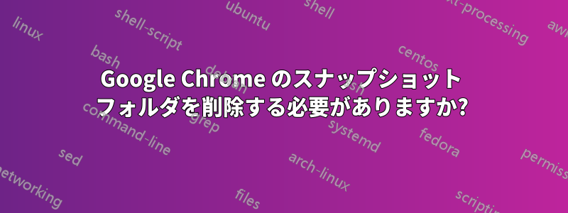 Google Chrome のスナップショット フォルダを削除する必要がありますか?