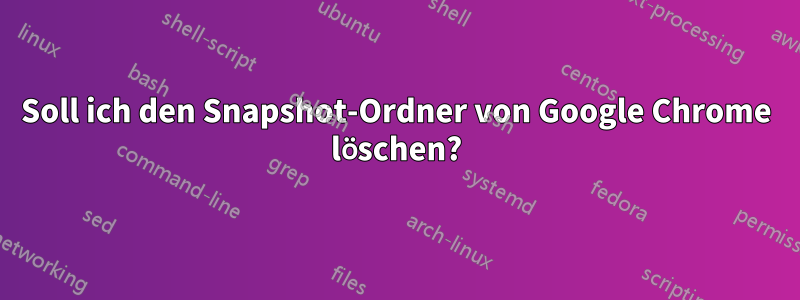 Soll ich den Snapshot-Ordner von Google Chrome löschen?