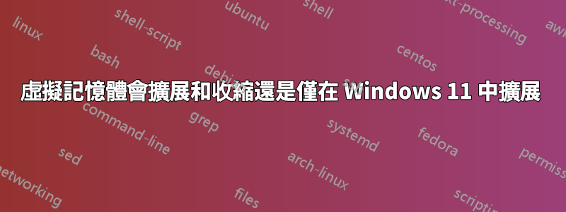 虛擬記憶體會擴展和收縮還是僅在 Windows 11 中擴展