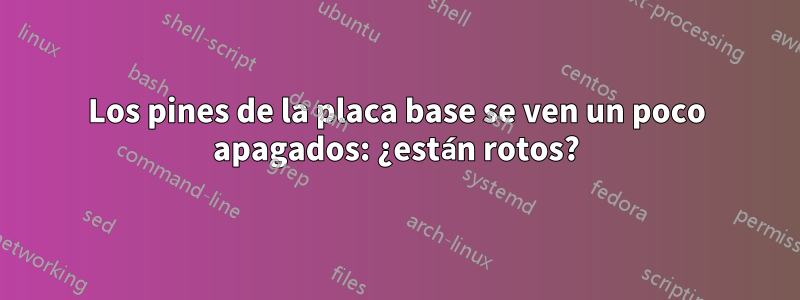 Los pines de la placa base se ven un poco apagados: ¿están rotos?