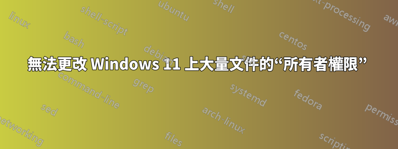 無法更改 Windows 11 上大量文件的“所有者權限”