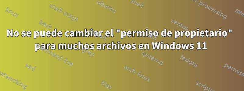 No se puede cambiar el "permiso de propietario" para muchos archivos en Windows 11