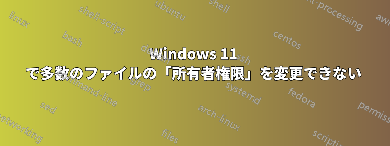 Windows 11 で多数のファイルの「所有者権限」を変更できない