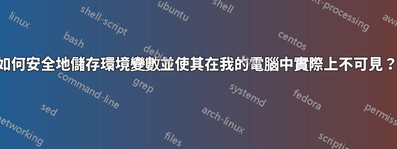 如何安全地儲存環境變數並使其在我的電腦中實際上不可見？