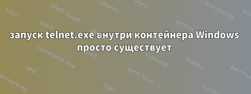 запуск telnet.exe внутри контейнера Windows просто существует