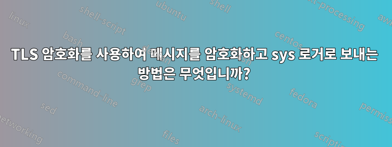 TLS 암호화를 사용하여 메시지를 암호화하고 sys 로거로 보내는 방법은 무엇입니까?