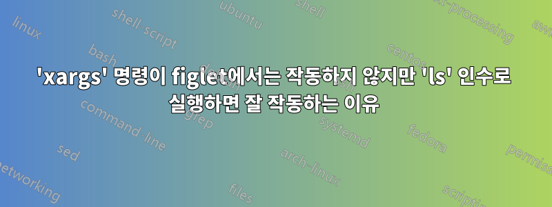 'xargs' 명령이 figlet에서는 작동하지 않지만 'ls' 인수로 실행하면 잘 작동하는 이유