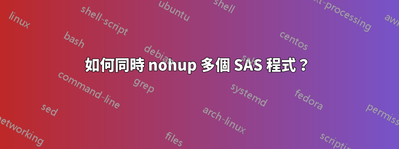 如何同時 nohup 多個 SAS 程式？