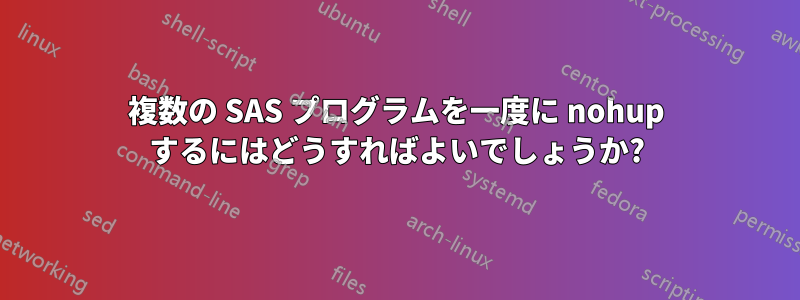 複数の SAS プログラムを一度に nohup するにはどうすればよいでしょうか?