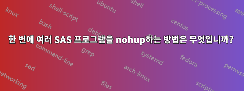 한 번에 여러 SAS 프로그램을 nohup하는 방법은 무엇입니까?