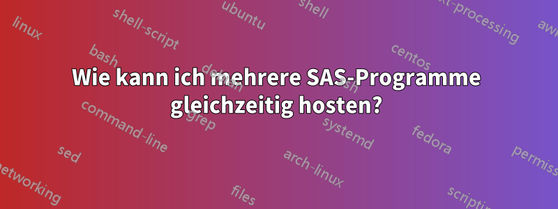 Wie kann ich mehrere SAS-Programme gleichzeitig hosten?