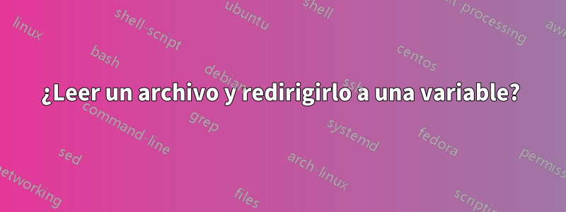 ¿Leer un archivo y redirigirlo a una variable?