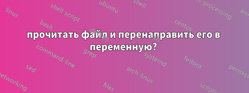 прочитать файл и перенаправить его в переменную?