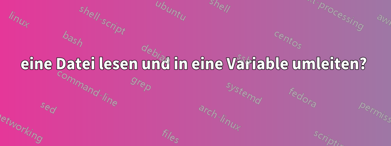 eine Datei lesen und in eine Variable umleiten?