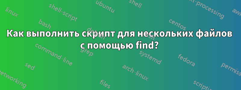 Как выполнить скрипт для нескольких файлов с помощью find?