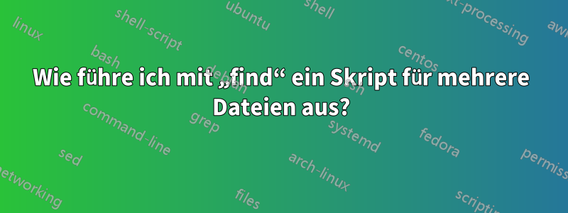 Wie führe ich mit „find“ ein Skript für mehrere Dateien aus?