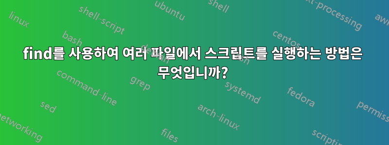 find를 사용하여 여러 파일에서 스크립트를 실행하는 방법은 무엇입니까?