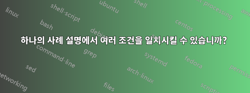 하나의 사례 설명에서 여러 조건을 일치시킬 수 있습니까?