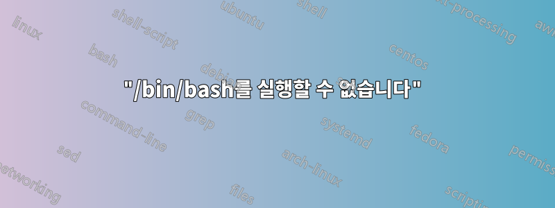 "/bin/bash를 실행할 수 없습니다"