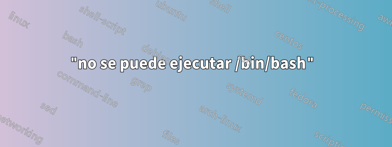 "no se puede ejecutar /bin/bash"