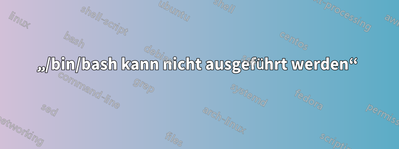 „/bin/bash kann nicht ausgeführt werden“