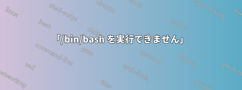 「/bin/bash を実行できません」