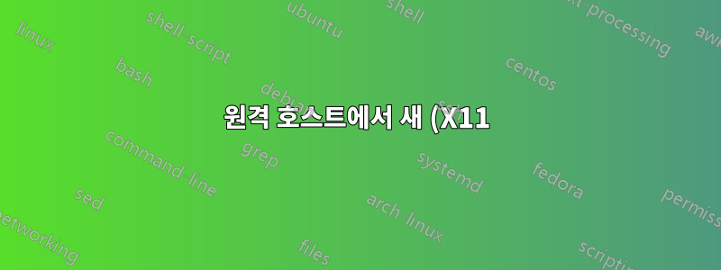 원격 호스트에서 새 (X11) 데스크톱 세션 시작