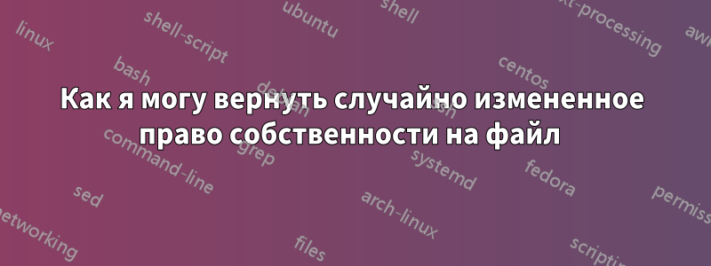 Как я могу вернуть случайно измененное право собственности на файл 