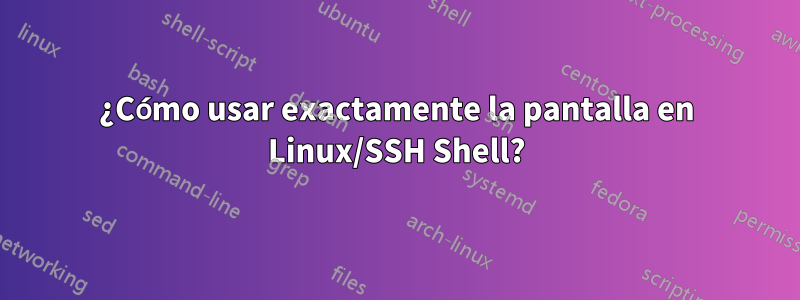 ¿Cómo usar exactamente la pantalla en Linux/SSH Shell?