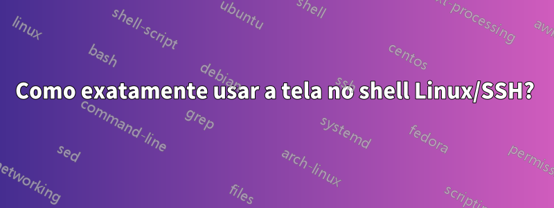 Como exatamente usar a tela no shell Linux/SSH?