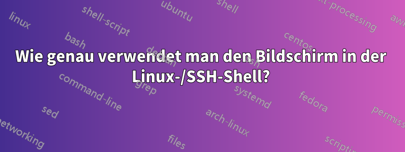 Wie genau verwendet man den Bildschirm in der Linux-/SSH-Shell?