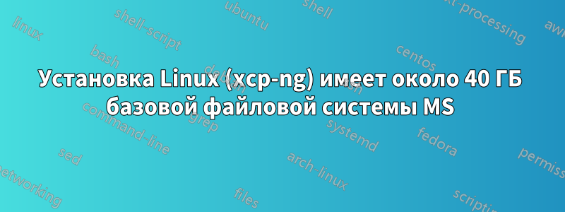Установка Linux (xcp-ng) имеет около 40 ГБ базовой файловой системы MS