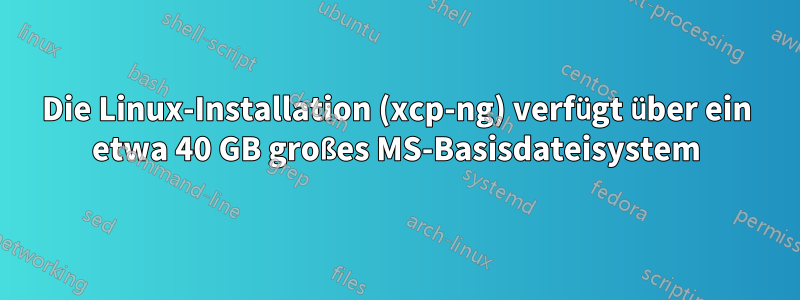 Die Linux-Installation (xcp-ng) verfügt über ein etwa 40 GB großes MS-Basisdateisystem