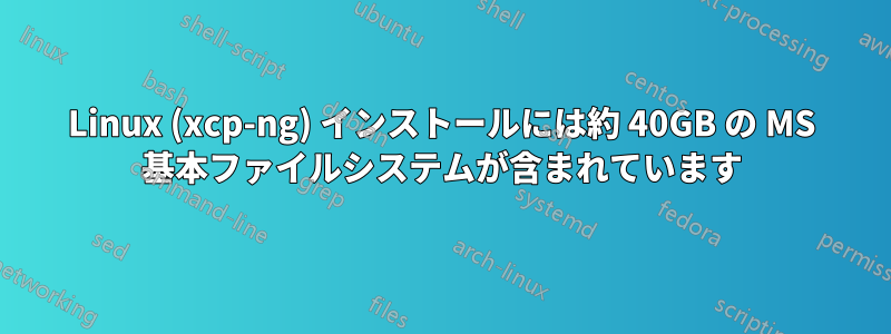 Linux (xcp-ng) インストールには約 40GB の MS 基本ファイルシステムが含まれています