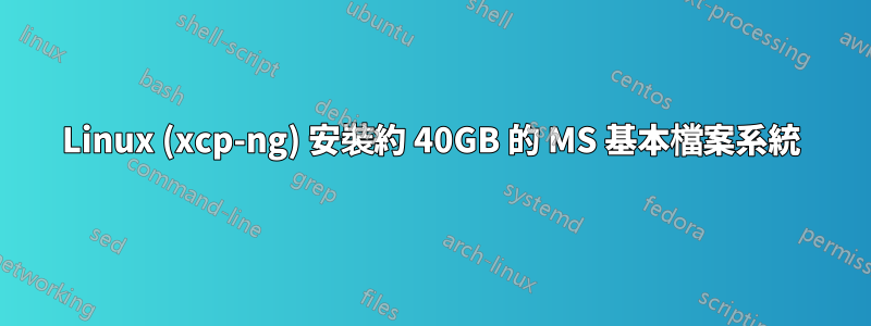 Linux (xcp-ng) 安裝約 40GB 的 MS 基本檔案系統