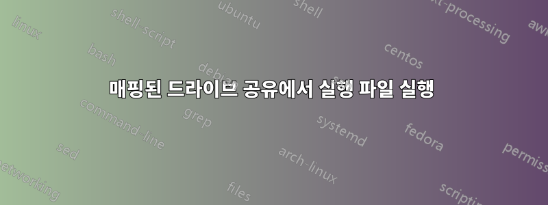 매핑된 드라이브 공유에서 실행 파일 실행