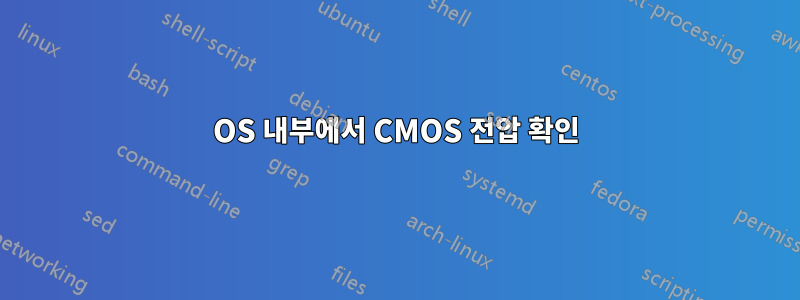 OS 내부에서 CMOS 전압 확인
