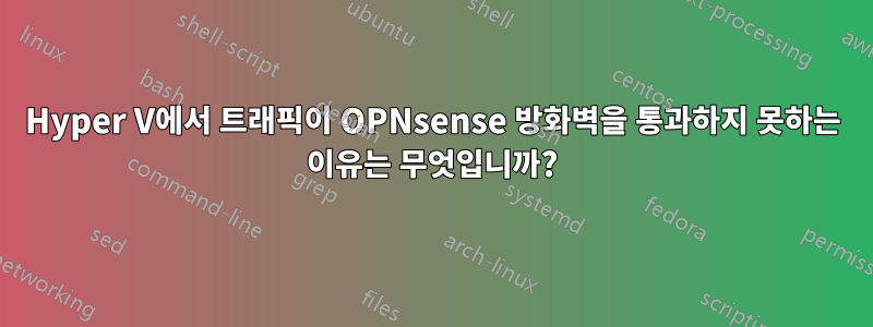 Hyper V에서 트래픽이 OPNsense 방화벽을 통과하지 못하는 이유는 무엇입니까?