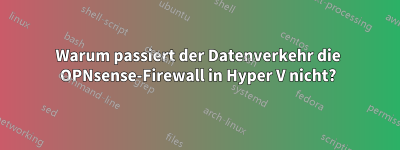 Warum passiert der Datenverkehr die OPNsense-Firewall in Hyper V nicht?