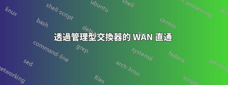 透過管理型交換器的 WAN 直通