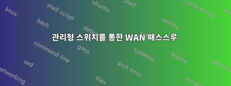 관리형 스위치를 통한 WAN 패스스루