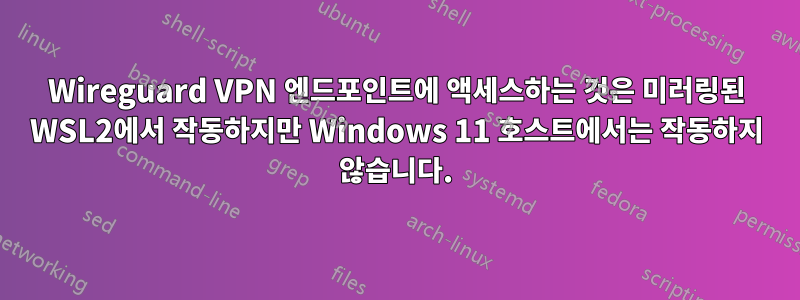 Wireguard VPN 엔드포인트에 액세스하는 것은 미러링된 WSL2에서 작동하지만 Windows 11 호스트에서는 작동하지 않습니다.