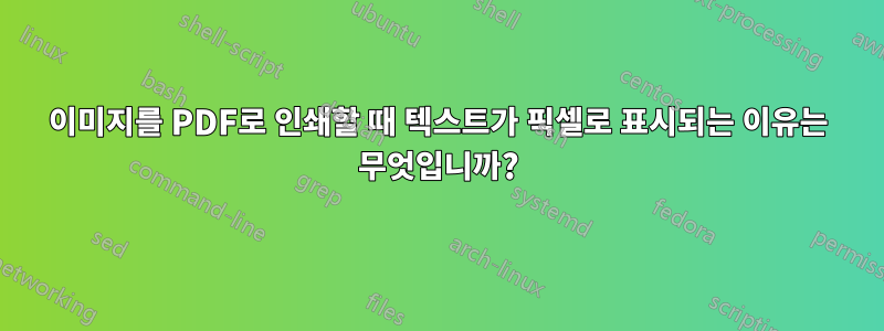 이미지를 PDF로 인쇄할 때 텍스트가 픽셀로 표시되는 이유는 무엇입니까?