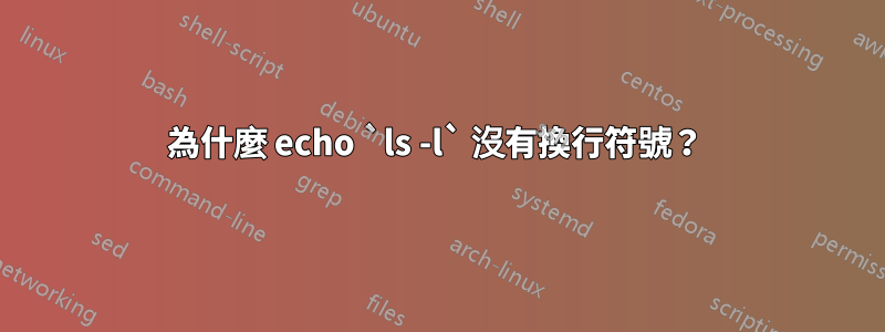 為什麼 echo `ls -l` 沒有換行符號？ 