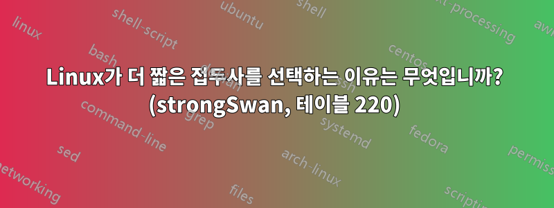 Linux가 더 짧은 접두사를 선택하는 이유는 무엇입니까? (strongSwan, 테이블 220)