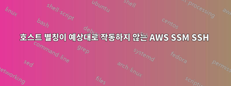 호스트 별칭이 예상대로 작동하지 않는 AWS SSM SSH